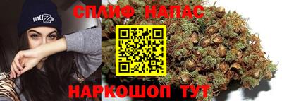 мдпв Пушкино