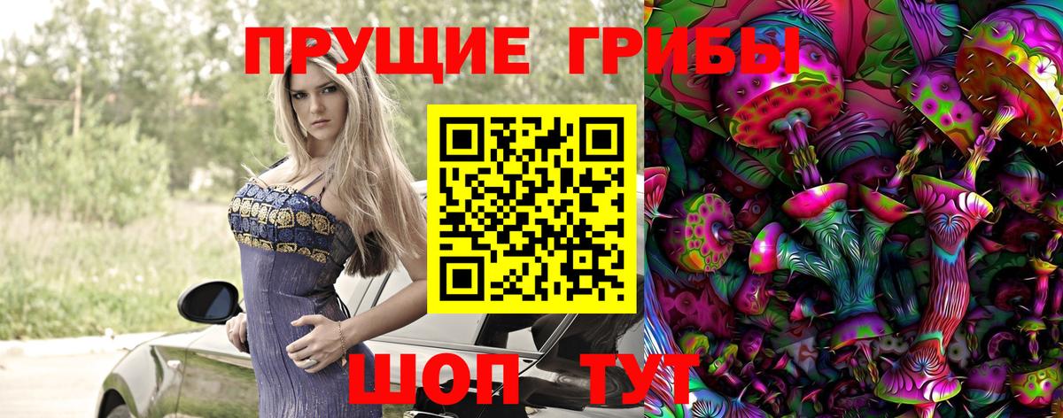 Псилоцибиновые грибы прущие грибы  Вход с VPN  Пятигорск 