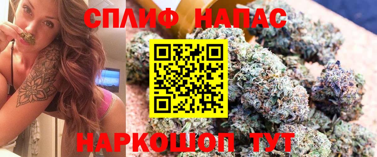 Конопля марихуана Пятигорск